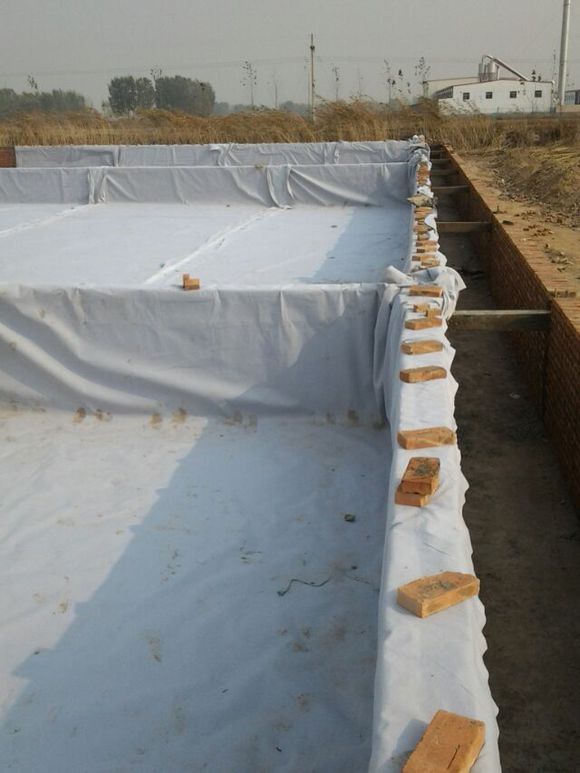 復合膜藕池現場實拍