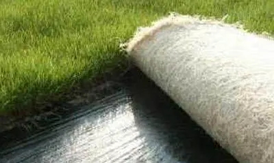 u=6149498,2981260229&fm=26&fmt=auto&gp=0.webp.jpg u=6149498,2981260229&fm=26&fmt=auto&gp=0.webp.jpg