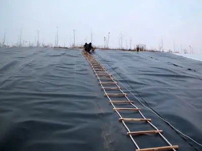 u=2537708869,1531254472&fm=26&fmt=auto&gp=0.webp.jpg u=2537708869,1531254472&fm=26&fmt=auto&gp=0.webp.jpg