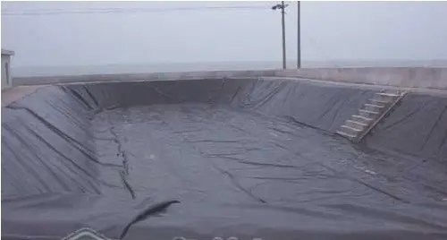 u=88320286,2076852464&fm=26&fmt=auto&gp=0.webp.jpg u=88320286,2076852464&fm=26&fmt=auto&gp=0.webp.jpg