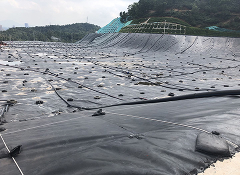 eff3a64d-6eb2-4b39-9f64-b44394032c1e.jpg eff3a64d-6eb2-4b39-9f64-b44394032c1e.jpg